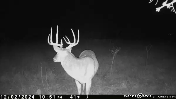 1838 County Road 343, Dublin, TX 76446 - #1