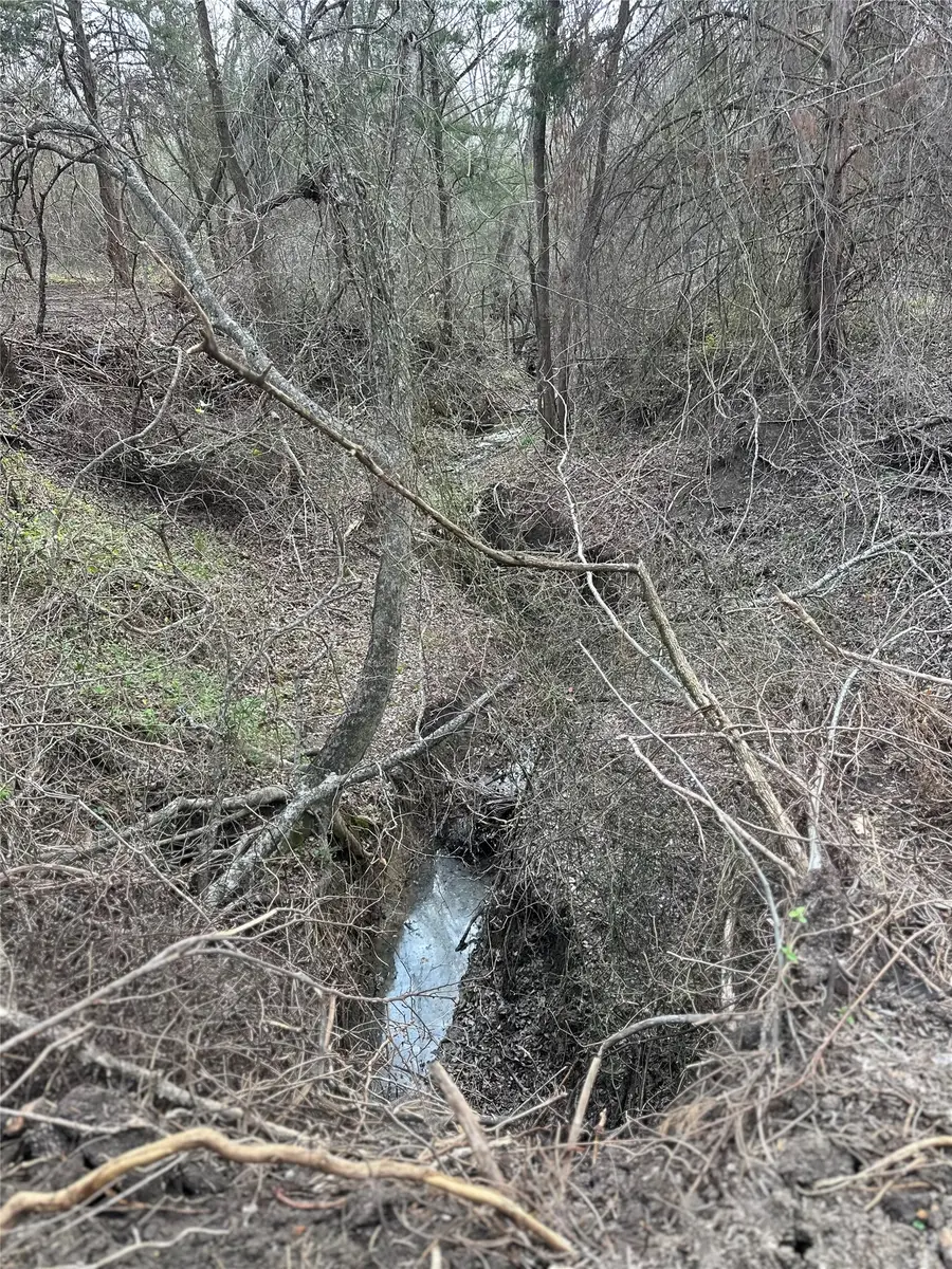 0000 Sandswitch, Ennis, TX 75119 - #2