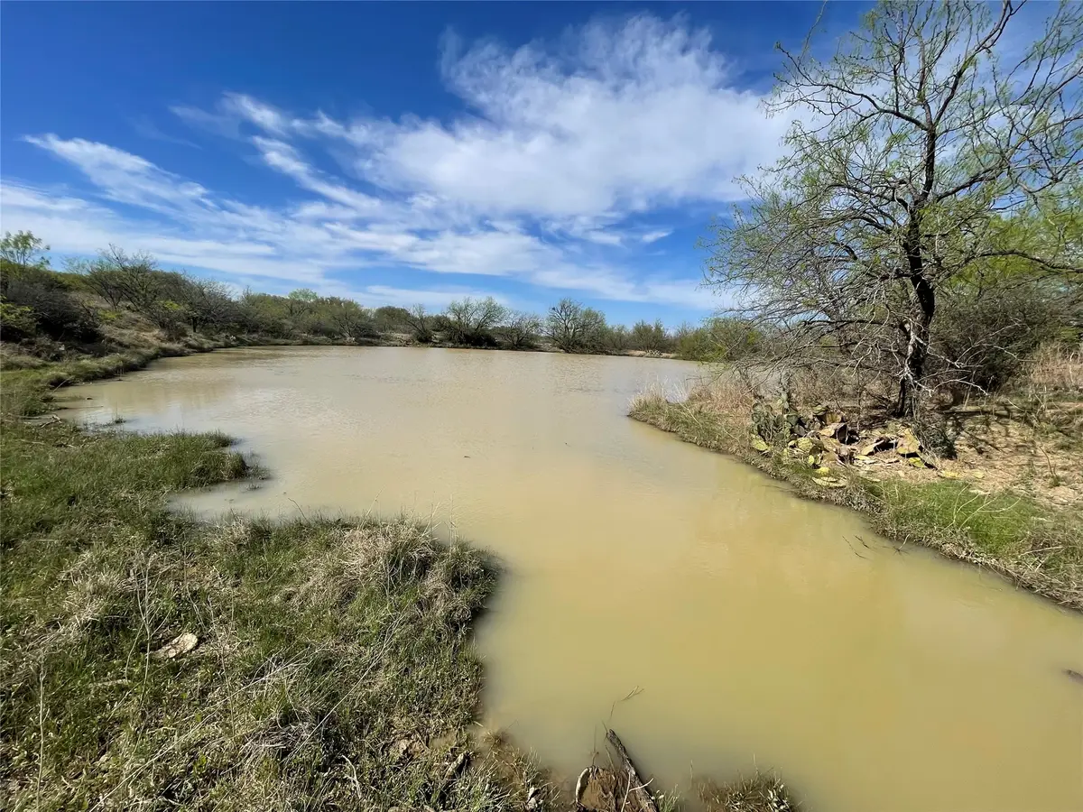 TBD C R 195, Breckenridge, TX 76424 - #1