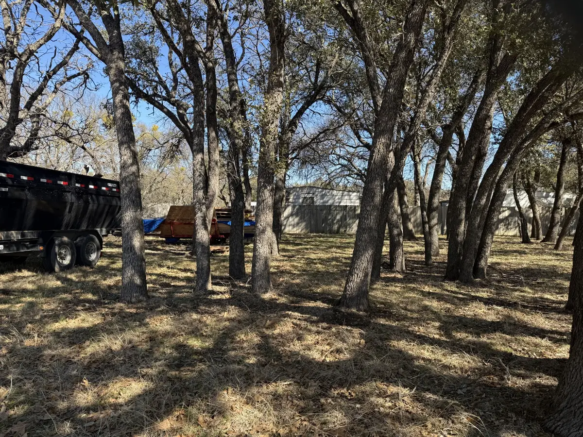 TBD Lot 227 Bounding Main Dr. Drive, May, TX 76857 - #1