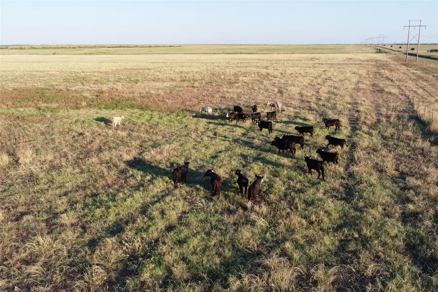 11000 County Road 110 W, Vernon, TX 76384 - #2