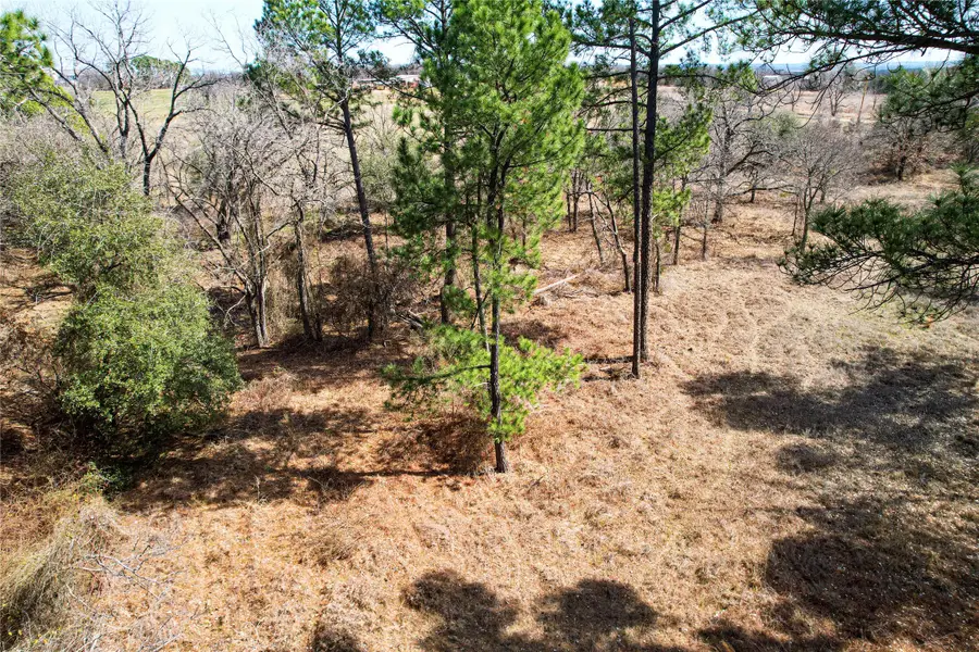 300 Cowboy Court, Granbury, TX 76048 - #2