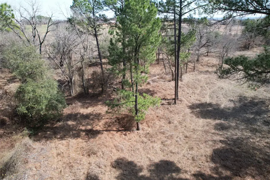 300 Cowboy Court, Granbury, TX 76048 - #3