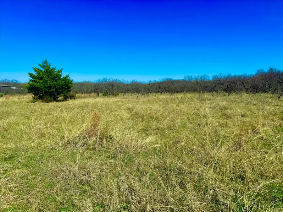 000TBD Highway 82, Nocona, TX 76255 - #2