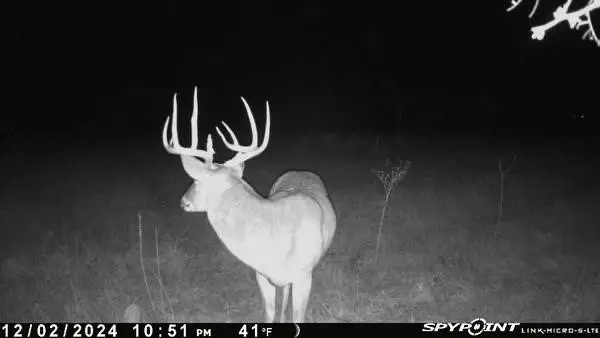 TBD 1 Cr 343 Road, Dublin, TX 76446