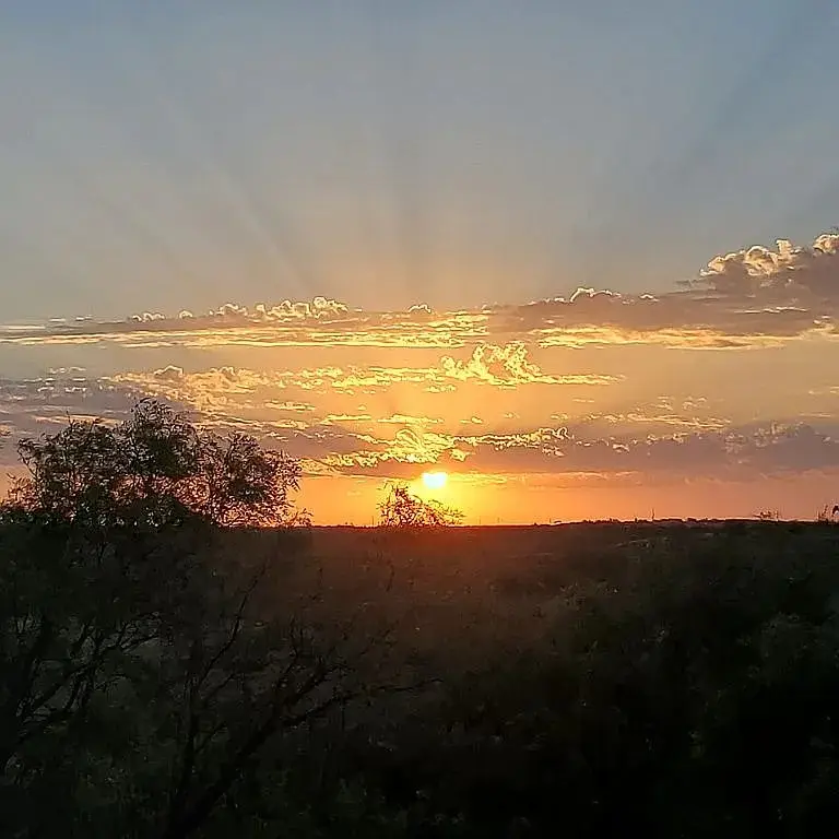 9608 County Road 452, Merkel, TX 79536 - #1