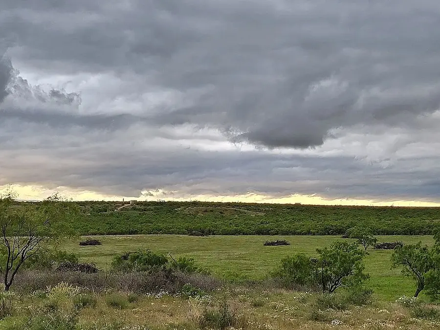 9608 County Road 452, Merkel, TX 79536 - #3