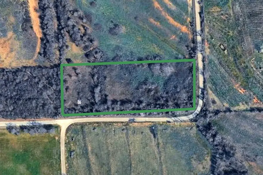 890 Clover Drive, Poolville, TX 76487 - #2