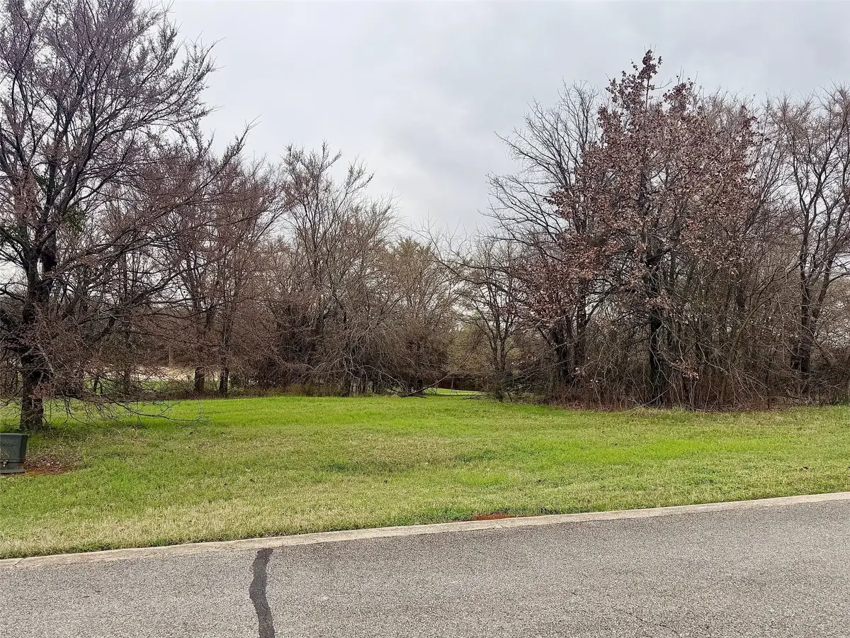 126 Roaring Fork Circle, Gordonville, TX 76245 - #1