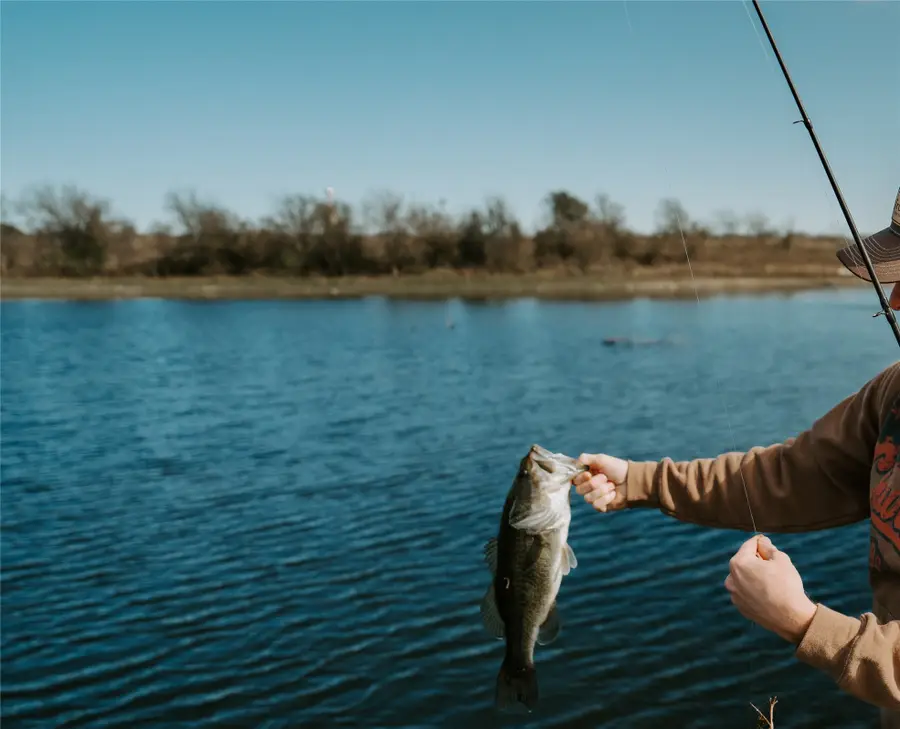 000 Fm 308, Milford, TX 76670 - #2