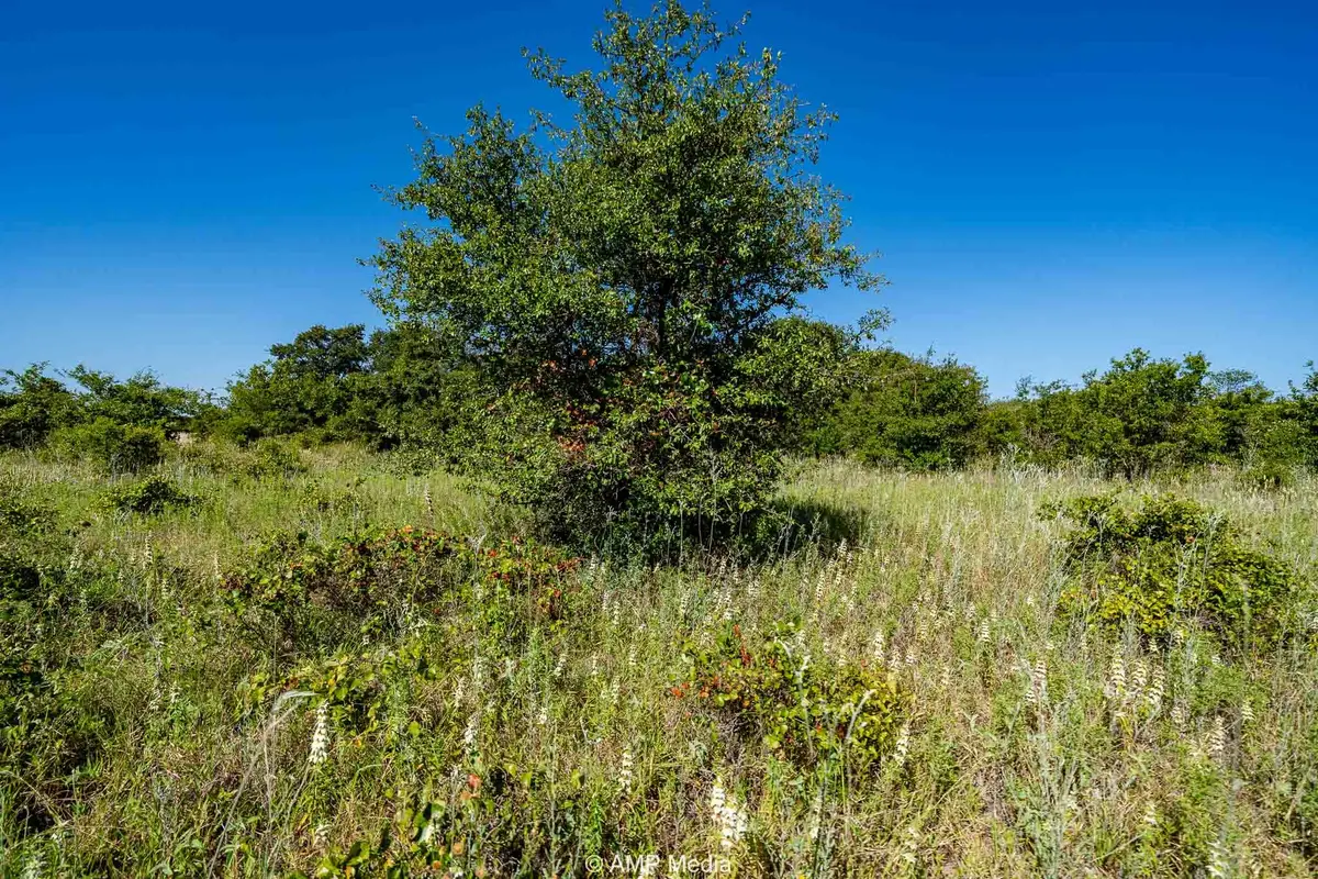 9999 County Road 240, Rising Star, TX 76471 - #1