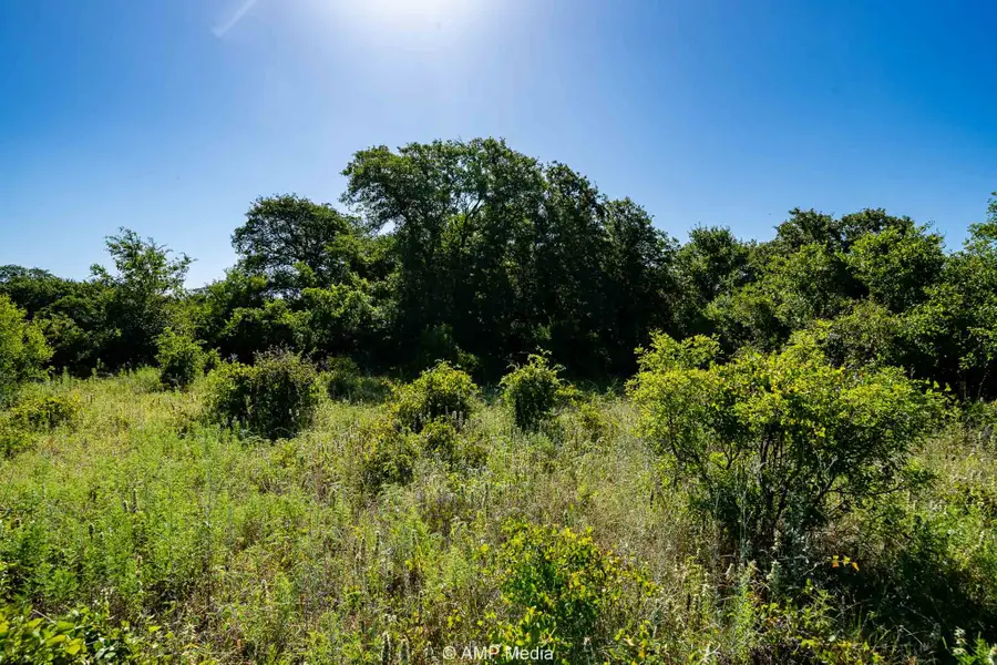 9999 County Road 240, Rising Star, TX 76471 - #2