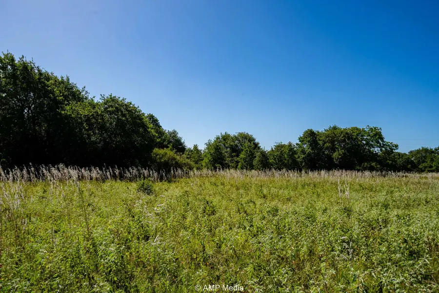 9999 County Road 240, Rising Star, TX 76471 - #3