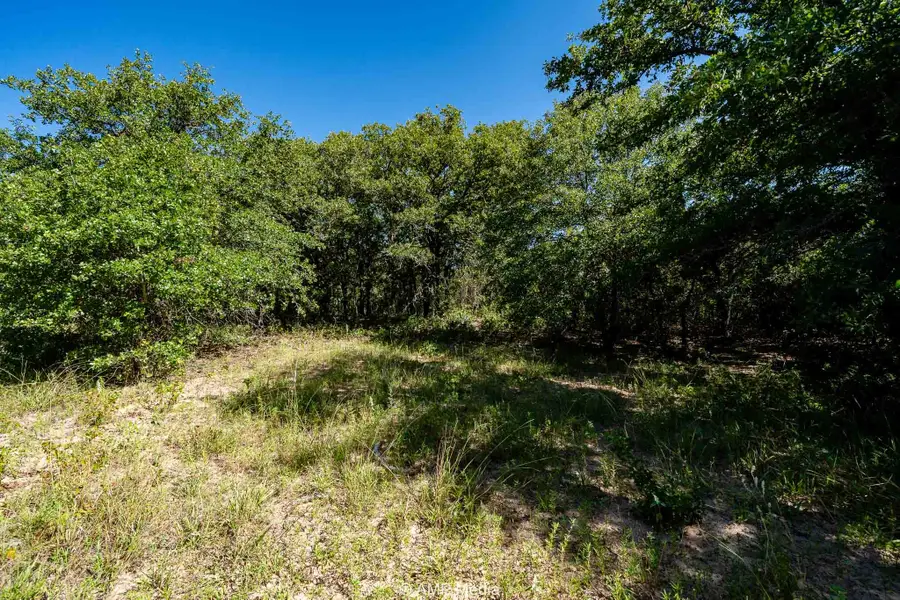 0000 County Road 240, Rising Star, TX 76471 - #2