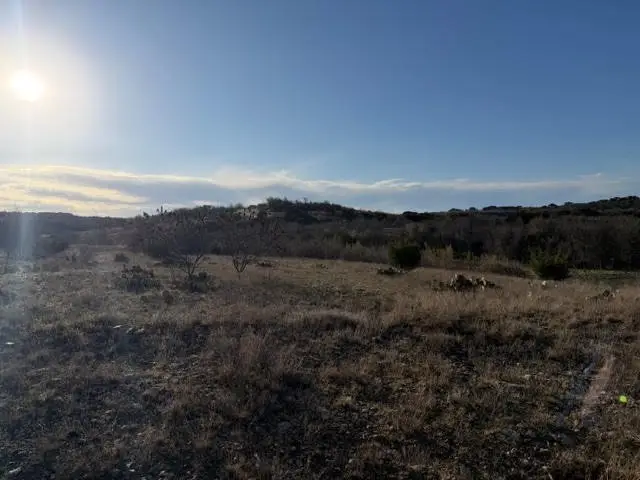 2220 Canyon Wren Loop, Graford, TX 76449 - #2