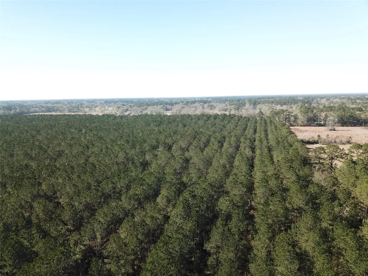 00 Corrigan Road, Vidor, TX 77662 - #1