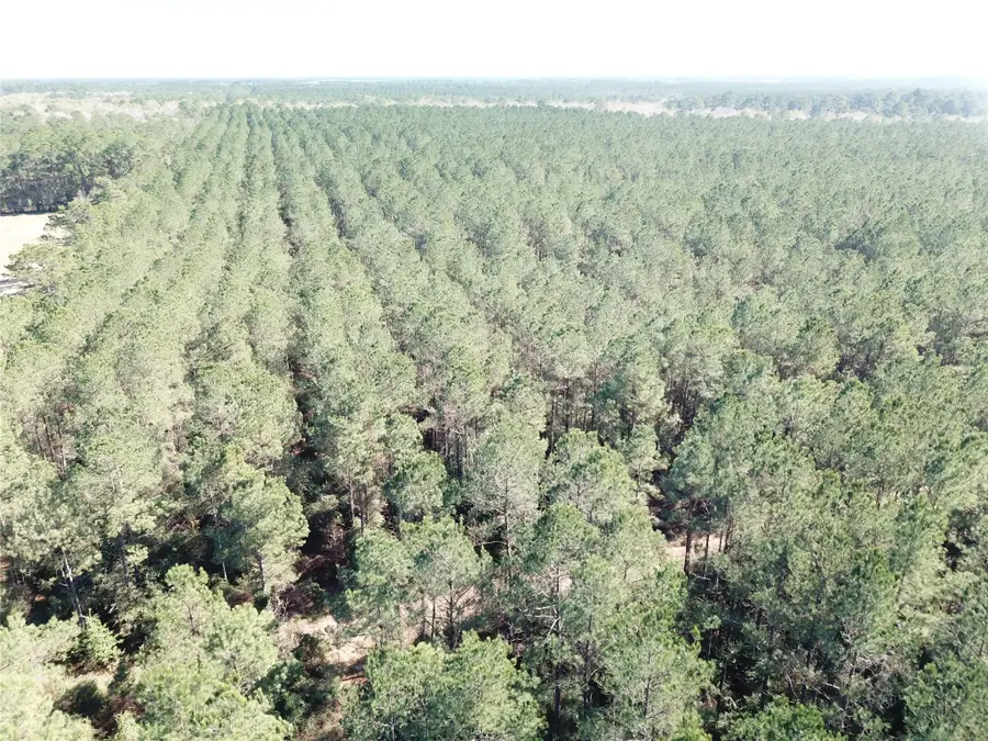 00 Corrigan Road, Vidor, TX 77662 - #2