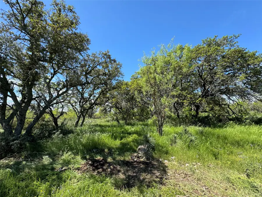 4810 S Hwy 87, Brady, TX 76825 - #3