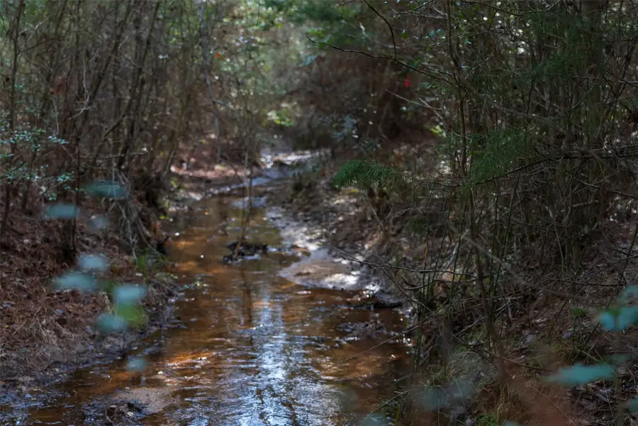 9190 County Road 2136 N, Henderson, TX 75652 - #3