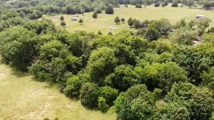 460 Vz County Road 3432, Wills Point, TX 75169 - #2