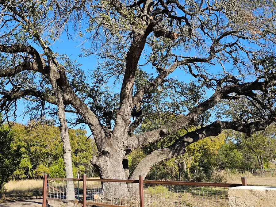 TBD-29.38 Acres Greenbriar Road, Gatesville, TX 76528 - #3