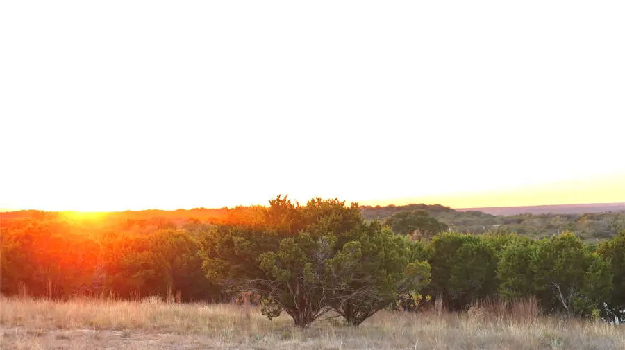 1040 Cedar Hill Drive, Nemo, TX 76070 - #3