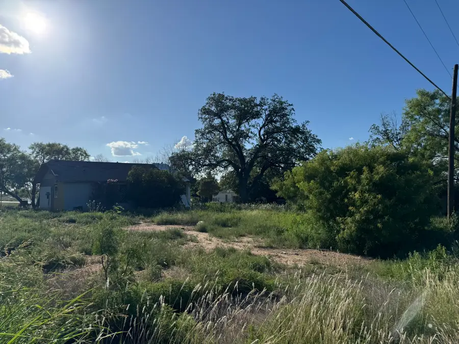 703 W 2nd Street, Brady, TX 76825 - #3