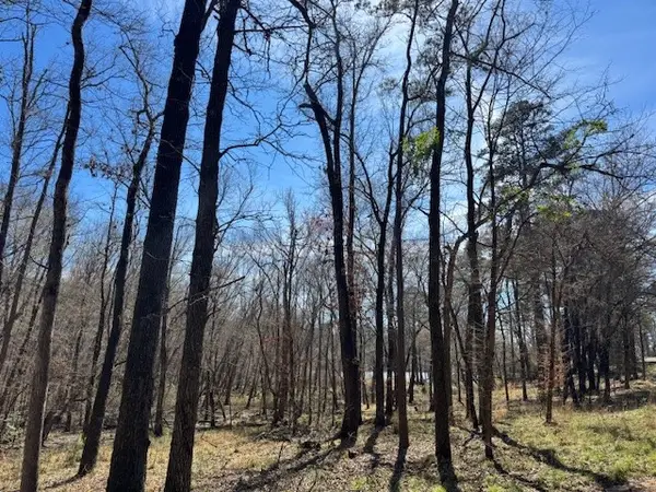 TBD Anderson County Rd. 319, Frankston, TX 75763