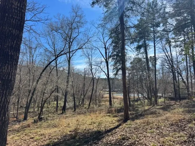 TBD Anderson County Rd. 319, Frankston, TX 75763 - #3