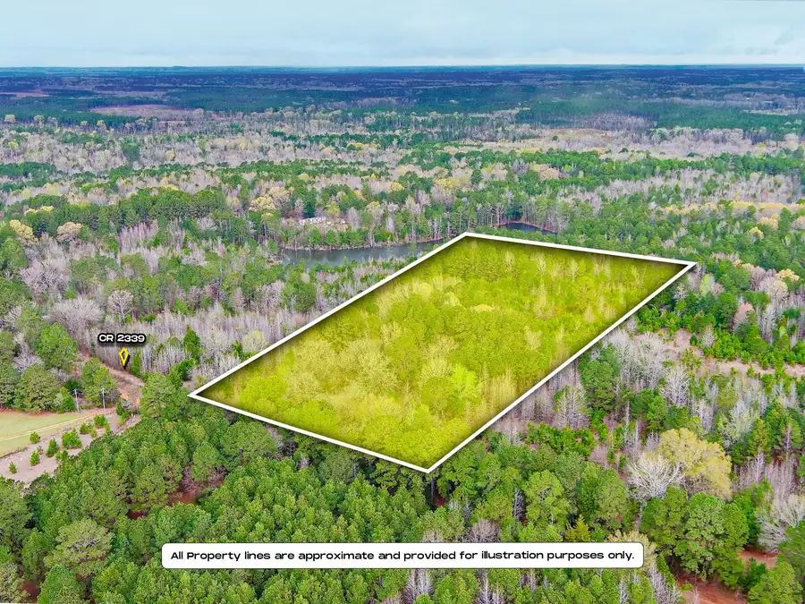 APN 655 County Road 2339, Marietta, TX 75566 - #2