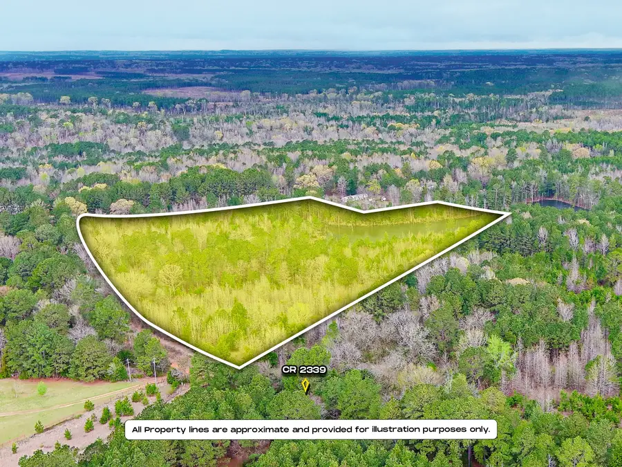 APN 656 County Road 2339, Marietta, TX 75566 - #2