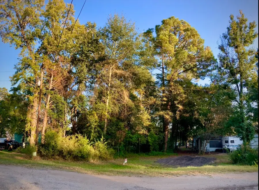 262 E Walnut Trail, Murchison, TX 75778 - #3