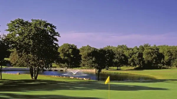 12131 Trailwood Drive, Whitney, TX 76692