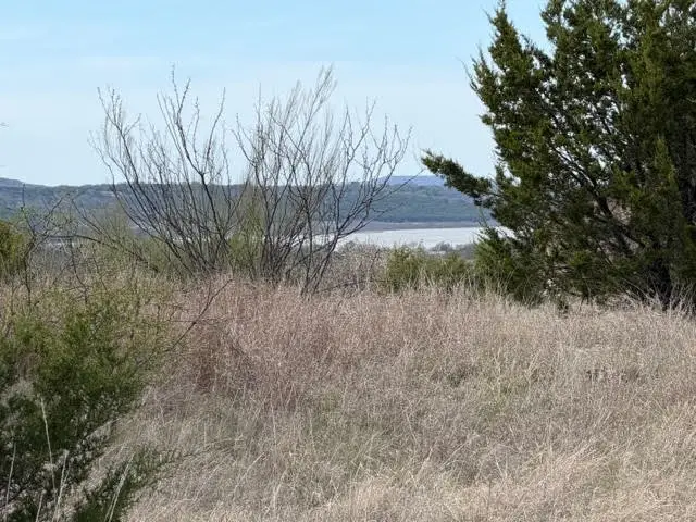 1160 Prairie Falcon Court, Graford, TX 76449 - #3