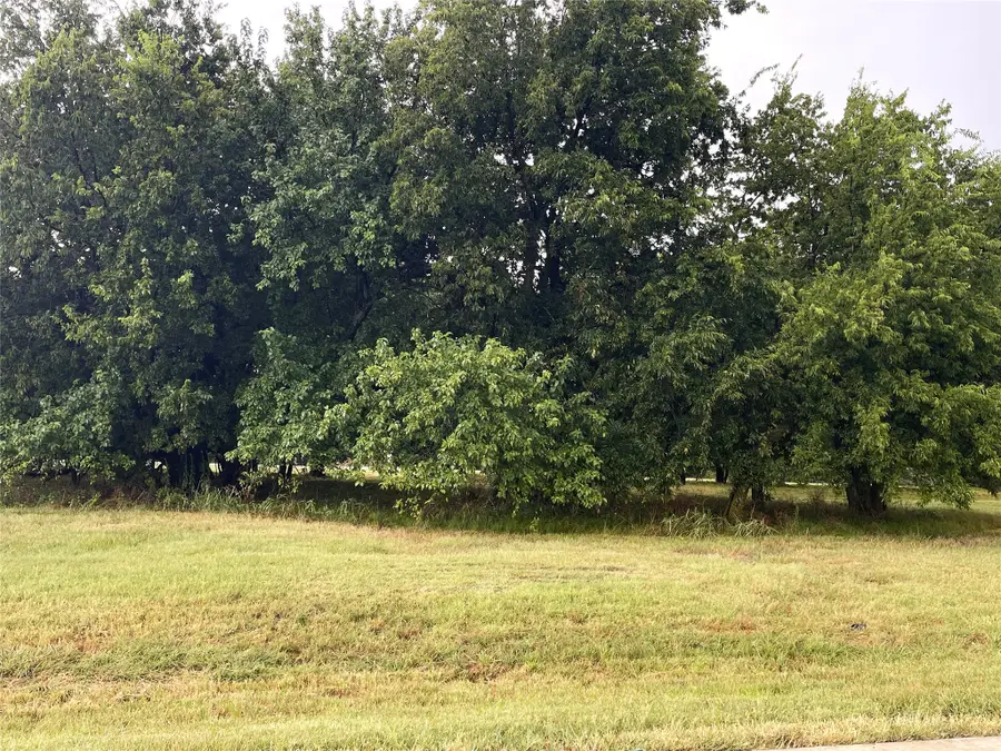 Lot 33B La Paloma Circle, Gordonville, TX 76245 - #3