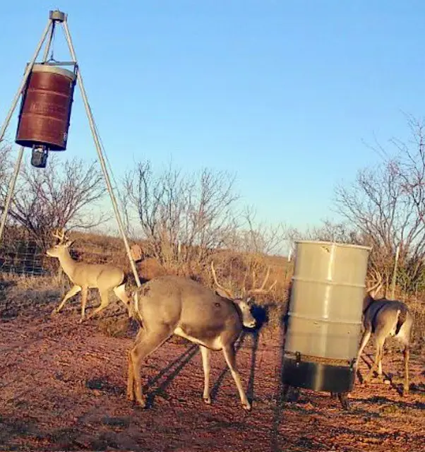 TBD Pr Off Of Cr 444, Merkel, TX 79536 - #1