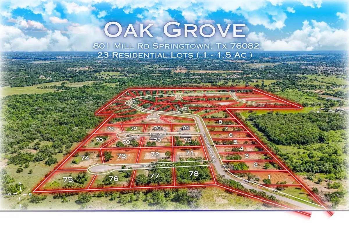 184 Oak Grove Way, Springtown, TX 76082 - #1