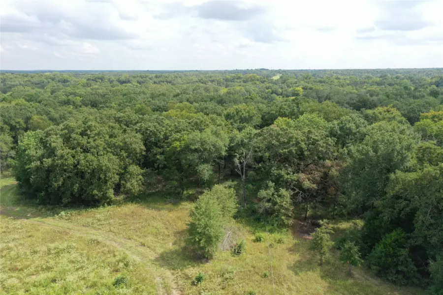 TBD County Road 140, Streetman, TX 75859 - #2