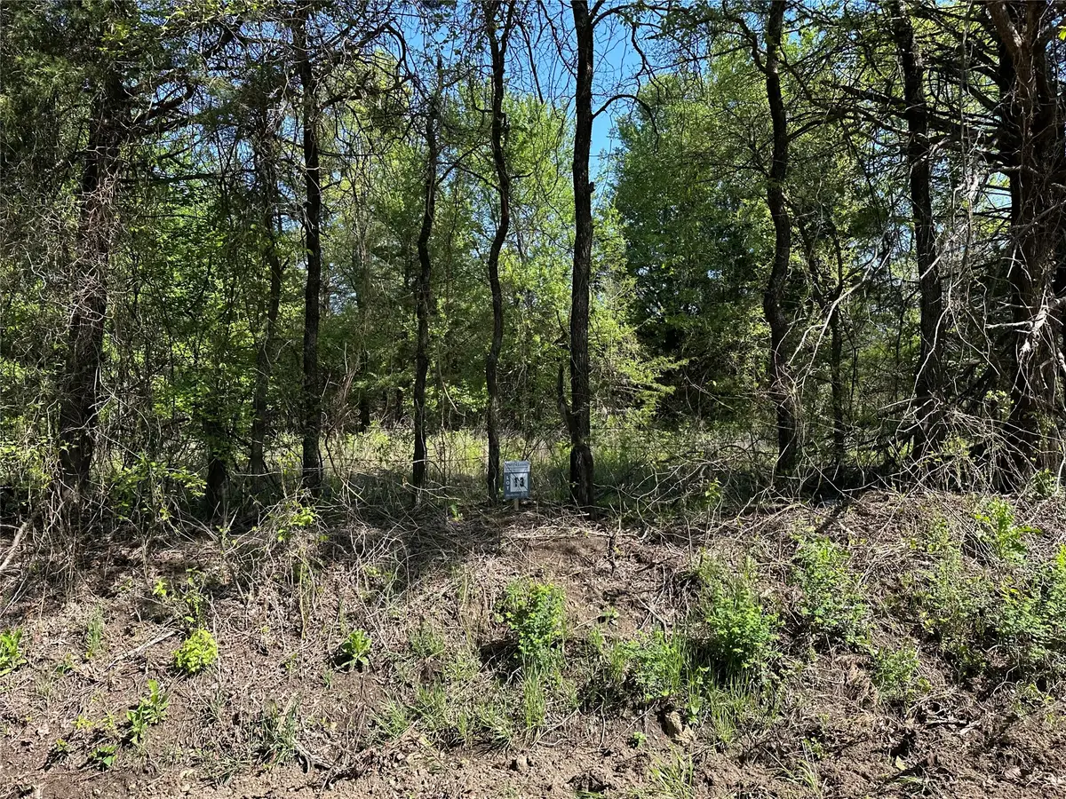 Tract 13 County Road 2951, Honey Grove, TX 75446 - #1