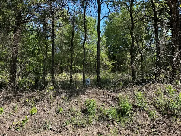 Tract 13 County Road 2951, Honey Grove, TX 75446