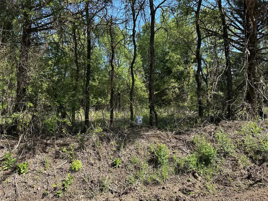 Tract 13 County Road 2951, Honey Grove, TX 75446 - #2