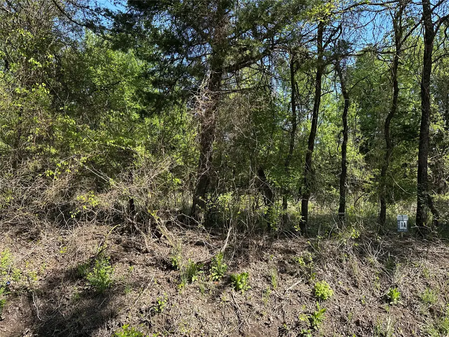 Tract 13 County Road 2951, Honey Grove, TX 75446 - #3