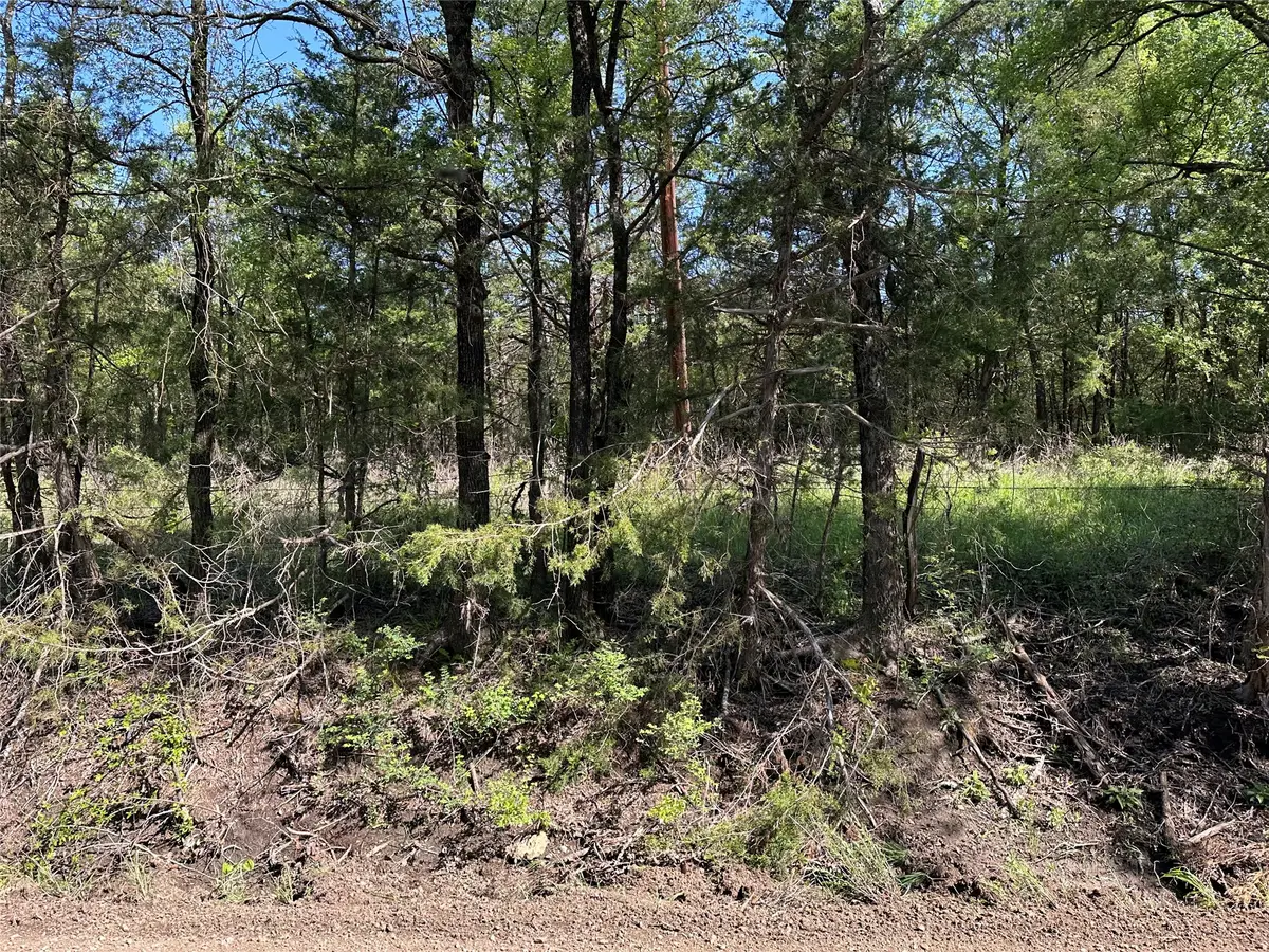 Tract 14 County Road 2951, Honey Grove, TX 75446 - #1