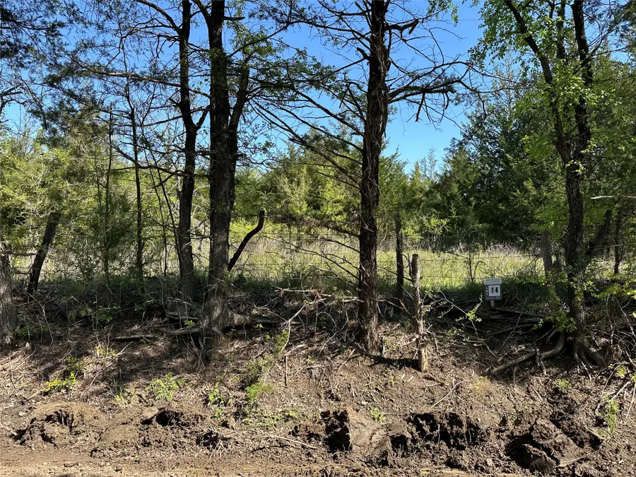 Tract 14 County Road 2951, Honey Grove, TX 75446 - #3