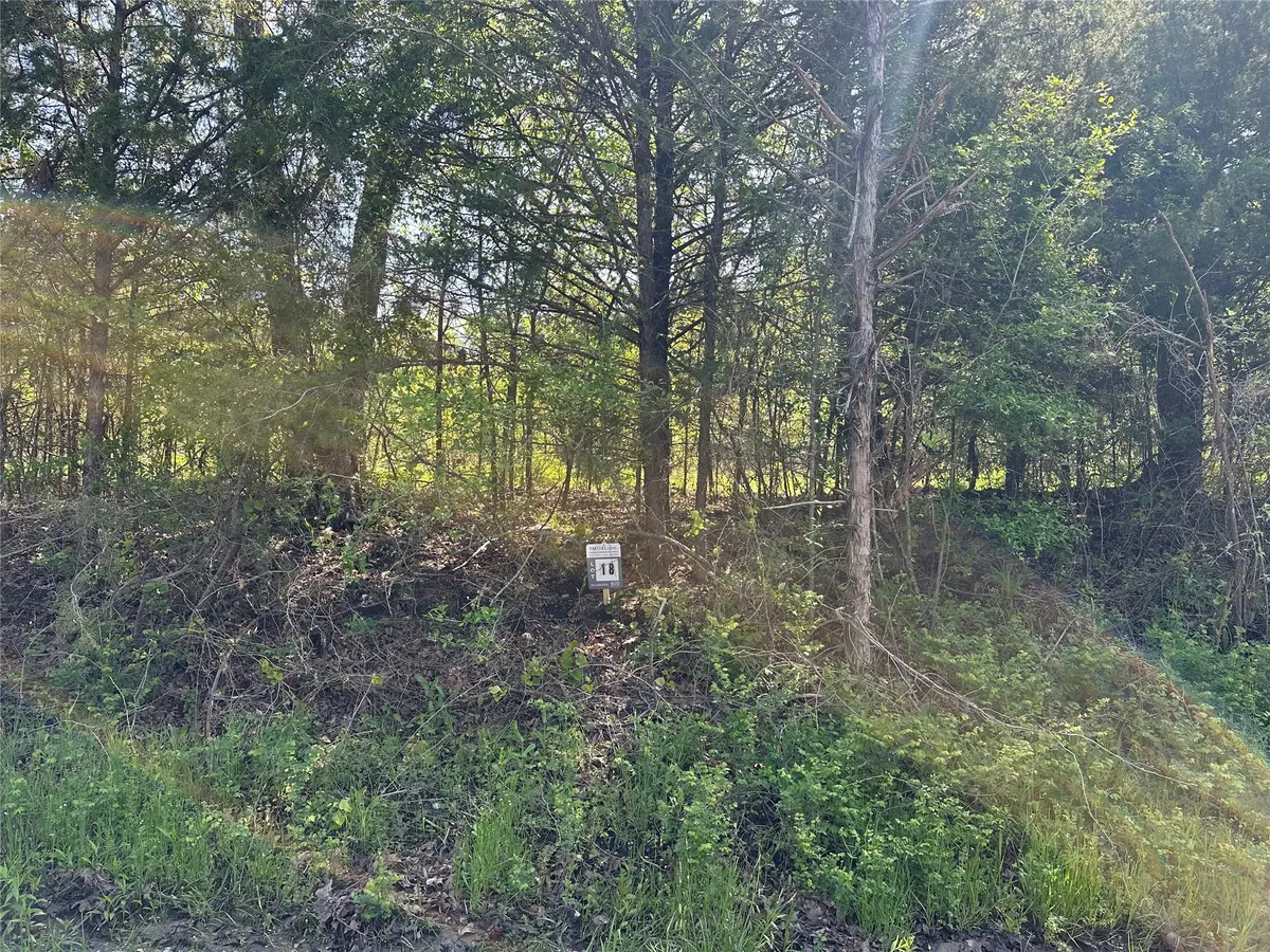 Tract 18 County Road 2960, Honey Grove, TX 75446 - #1