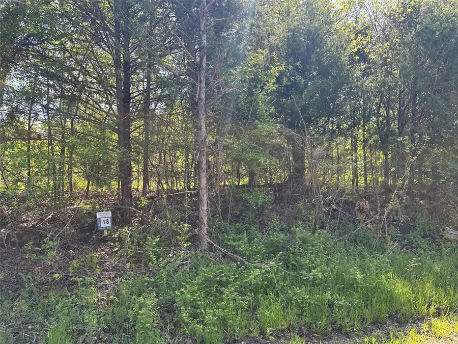 Tract 18 County Road 2960, Honey Grove, TX 75446 - #2