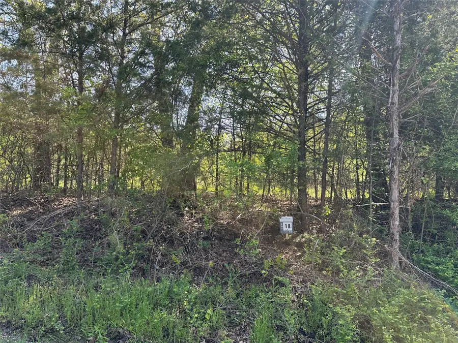 Tract 18 County Road 2960, Honey Grove, TX 75446 - #3