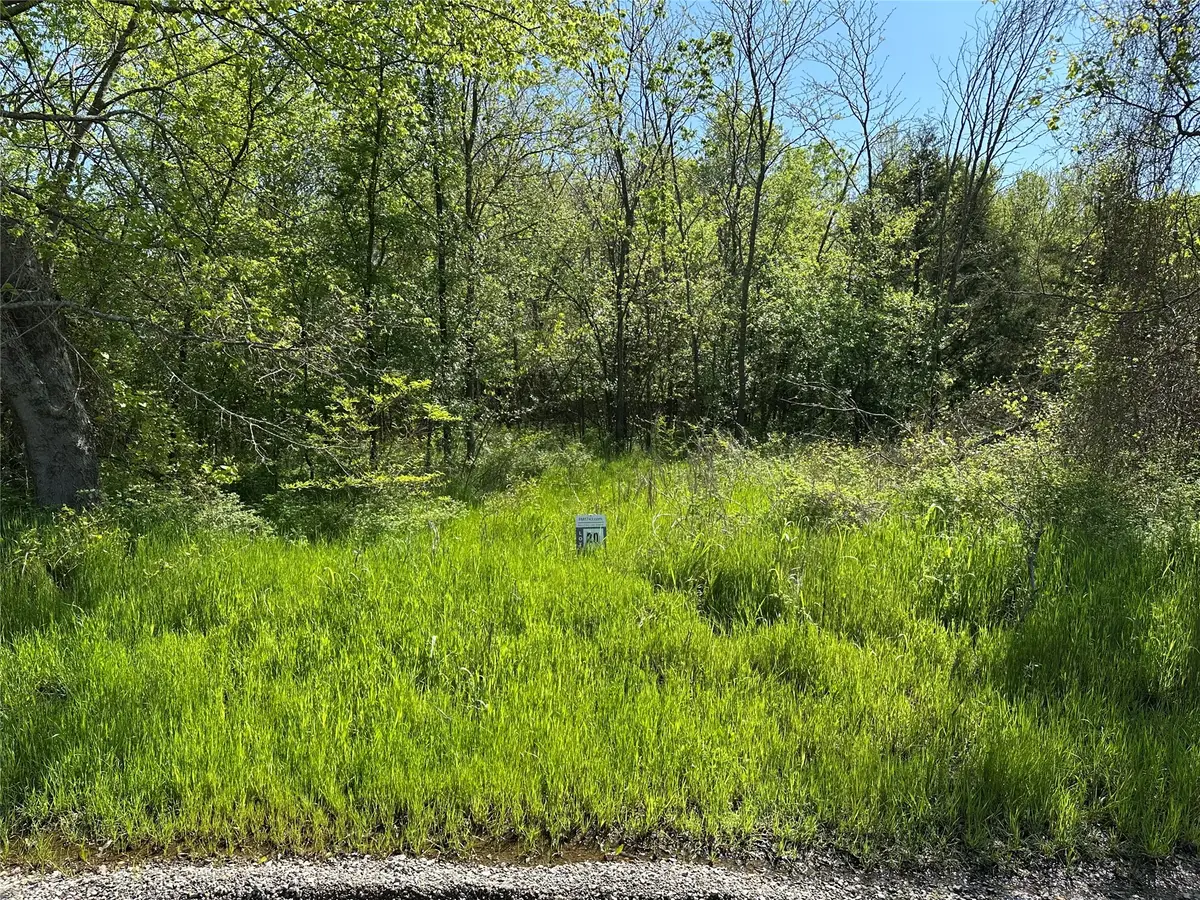 Tract 20 County Road 2960, Honey Grove, TX 75446 - #1