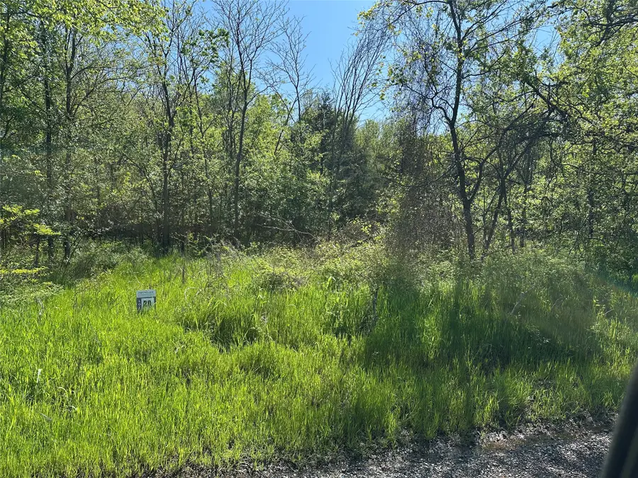 Tract 20 County Road 2960, Honey Grove, TX 75446 - #2
