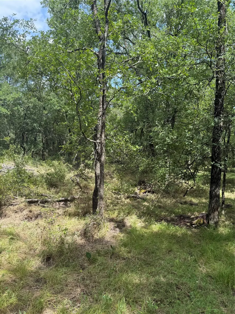 1741 Elm Lake Road, Riesel, TX 76682 - #3